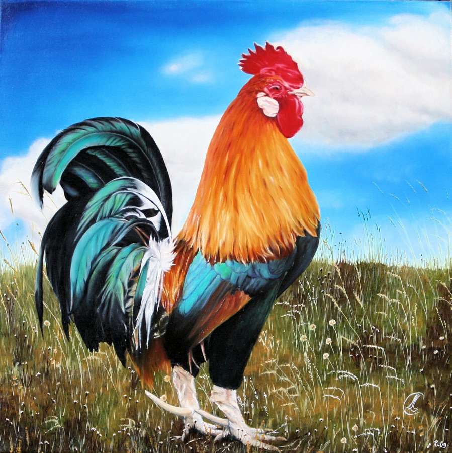 Huile sur toile 50x50 cm