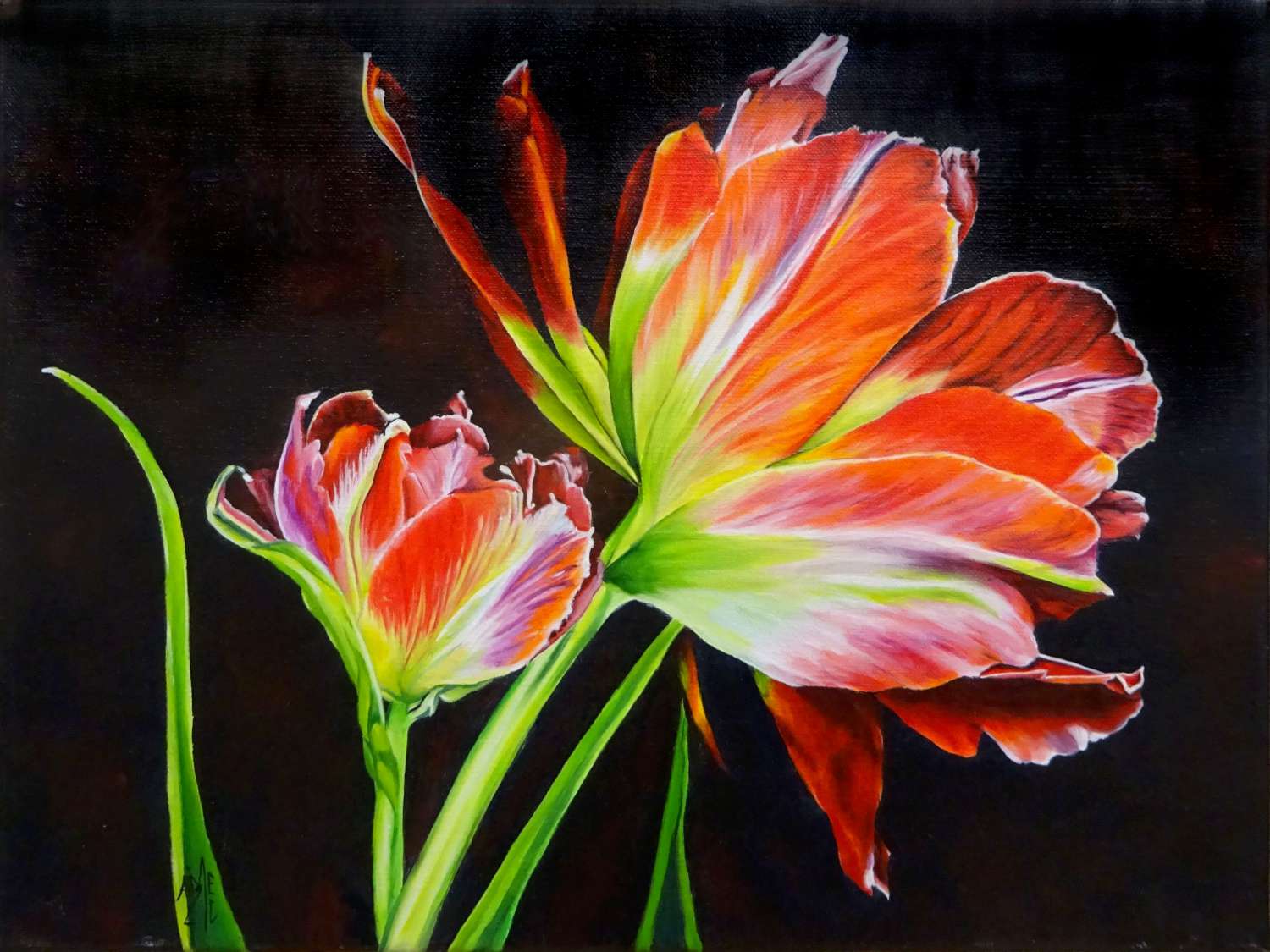 15 tulipes 40x30 1500