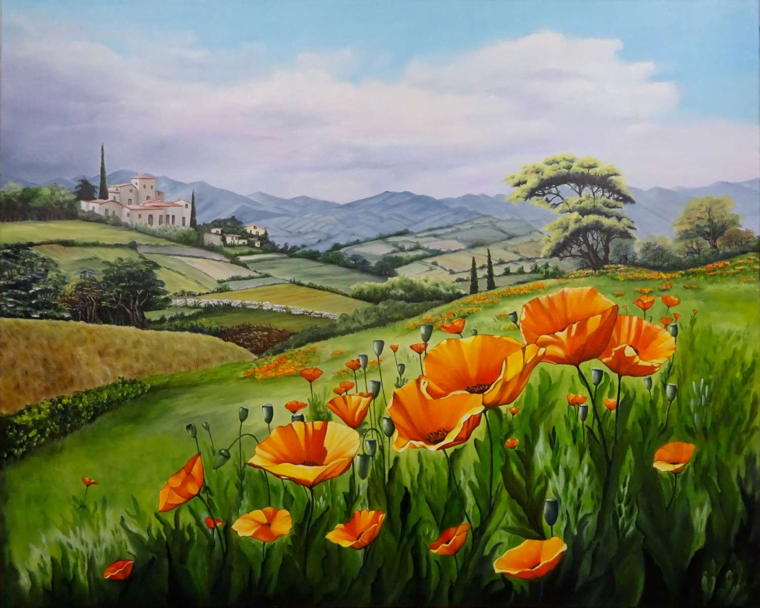 le champs d Escholtzia 100x80