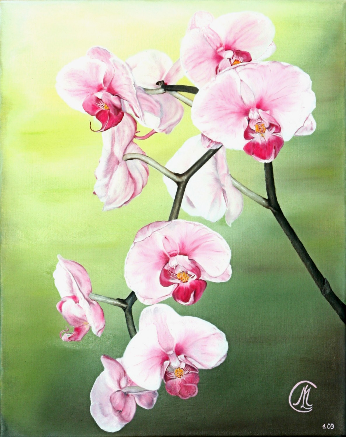 orchidee Huile sur toile : 30x40 cm