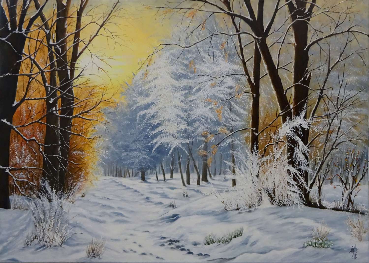 le champs d Escholtzia 100x80