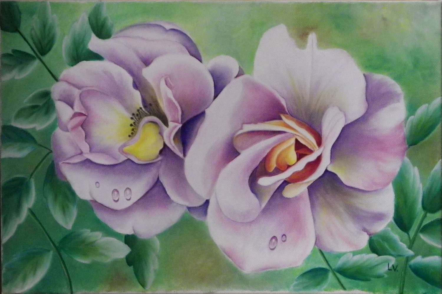 les glantines 40x26 1200